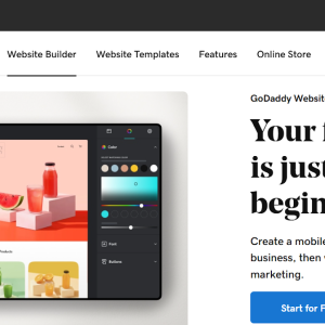 Design, edit, redesign, and mannage godaddy, wix, squarespace, website