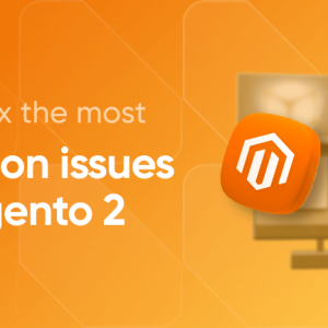 Magento Bug Fixing & Troubleshooting