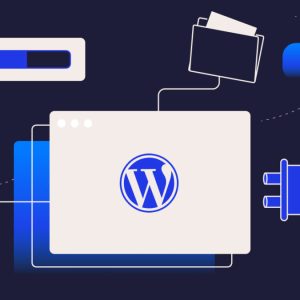 Setup and install plugins WP